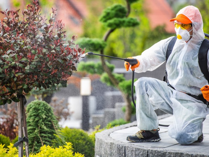 Ula Haşere İlaçlama